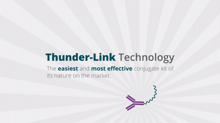 Innova Thunder-Link Video Storyboard 13